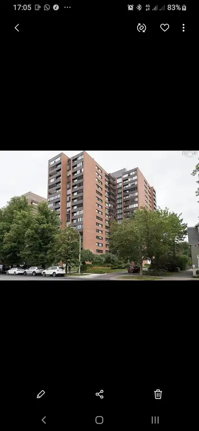 1 bd apartment for rent