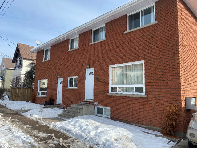 Newly Renovated 2bdrm In the Heart of Downtown! in Long Term Rentals in Thunder Bay