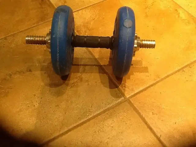 Weider Barebell weight  in Exercise Equipment in Ottawa - Image 2