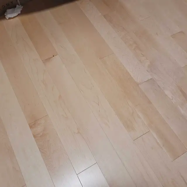 Canadian maple wood floor62864364791809122