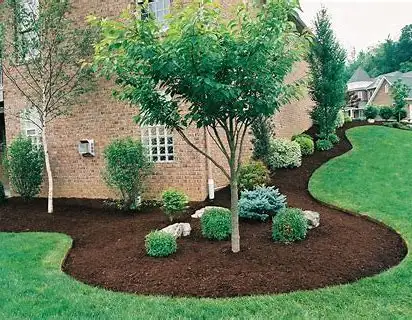 MOWING/HEDGES/GRASS CUT/OVERGROWN YARDS 416417161763234831535489123