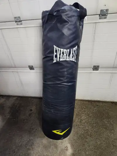 Everlast Heavy Bag + Gloves, View more