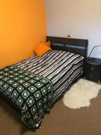 Room for Rent near U of A - July 1st