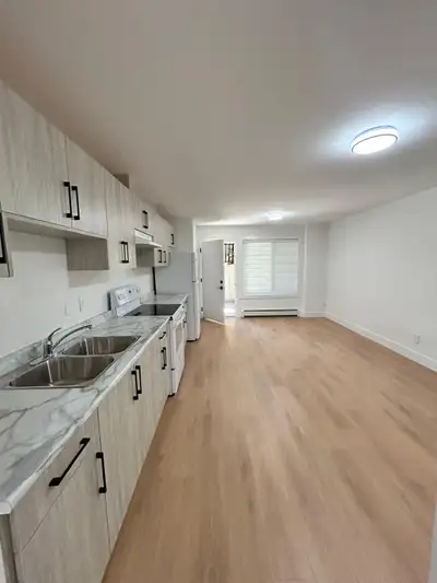 Brand New 2 Bed | 1 Bath Basement Suite in Fraser Heights.