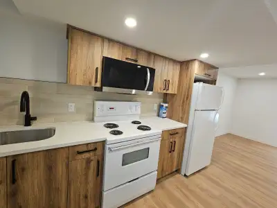 Amazing newly renovated basement for rent. Spacious and bright Walk up basement 1 big bedroom 1 big...