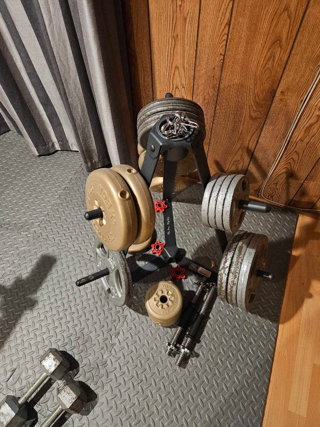 weight plates / poid disques / bench press dans Appareils d'exercice domestique  à Ville de Montréal