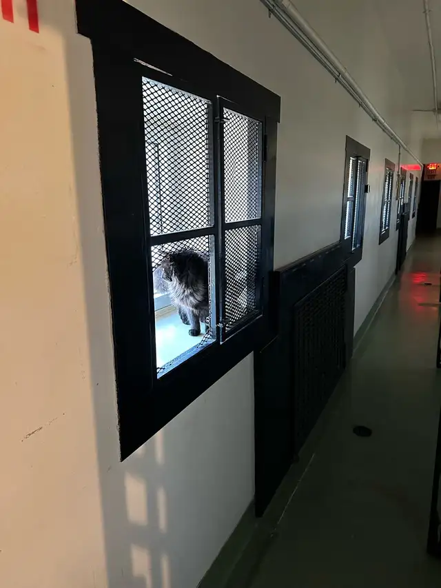 STEP INSIDE THE HISTORIC DORCHESTER JAIL — OPEN TODAY in Activities & Groups in Moncton - Image 3