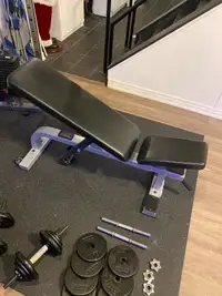 Heavy duty adjustable weight bench