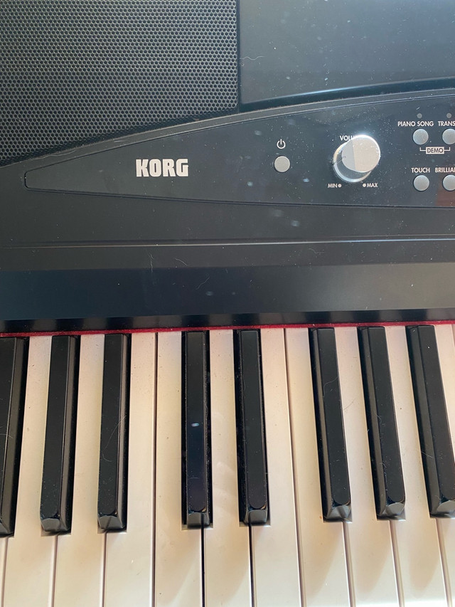 Korg piano  in Pianos & Keyboards in Whitehorse - Image 2