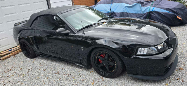 2001 Mustang GT (Cobra Clone) $15,000obo in Cars & Trucks in Leamington - Image 2