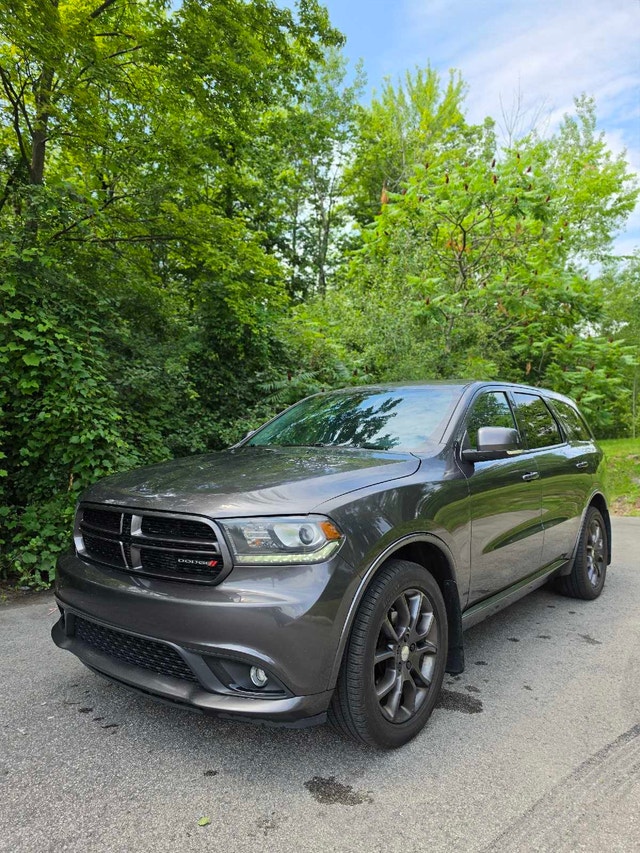 2017 Dodge Durango GT — photo 4