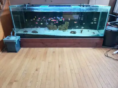 140 gallon aquarium, View more