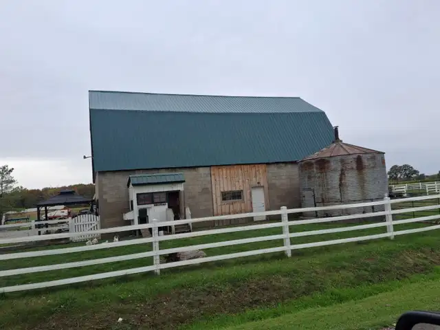 Winter Barn Repairs65120779561346124