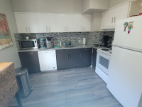 Large renovated 3 bed duplex avail June 1st