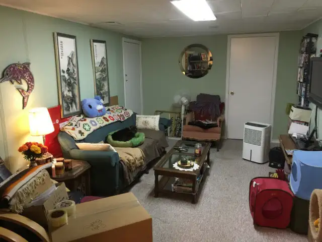 Photo 5