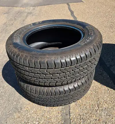 2 Grand Prix Performance GT 215/65R15 All Weather Tires About 70% Tread Asking $150
