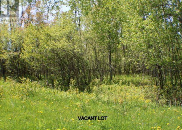 Land for Sale in Johnson Township, ON in Land for Sale in Sault Ste. Marie - Image 3
