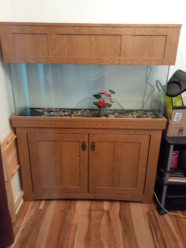 50 Gallon 19"x4x12.5 Fish Tank w/ Stand in Accessories in Cornwall - Image 2