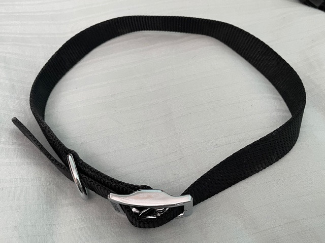 New Buckle Dog Collar, 20-22", Black &amp; silver in Accessories in Saskatoon