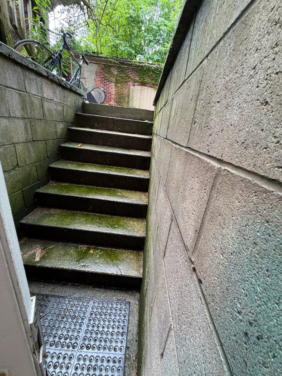 Avenue/Bloor 1 bedroom lower level with shared yard 3