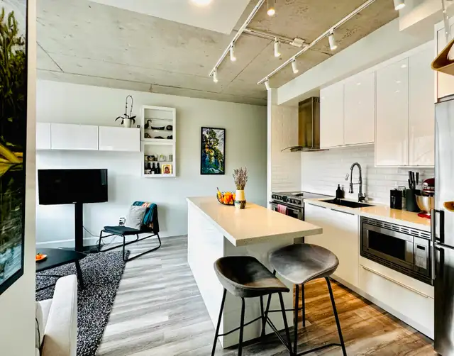 APARTMENT FOR RENT : 1 bedroom, 1 bathroom, BYWARD MARKET in Long Term Rentals in Ottawa - Image 4