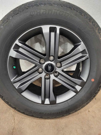 Ford F150 Alloy's 