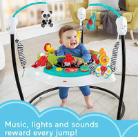 Fisher Price Jumperoo Bouncer 