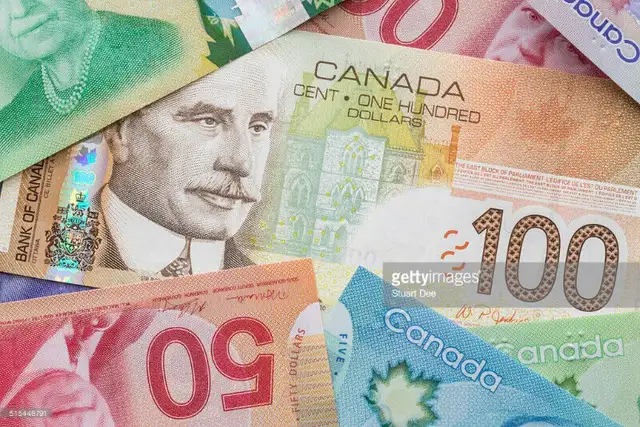Professional Income Tax Preparer (EFILE Tax Preparation)62864358194819123