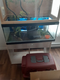 Aquarium et bureau