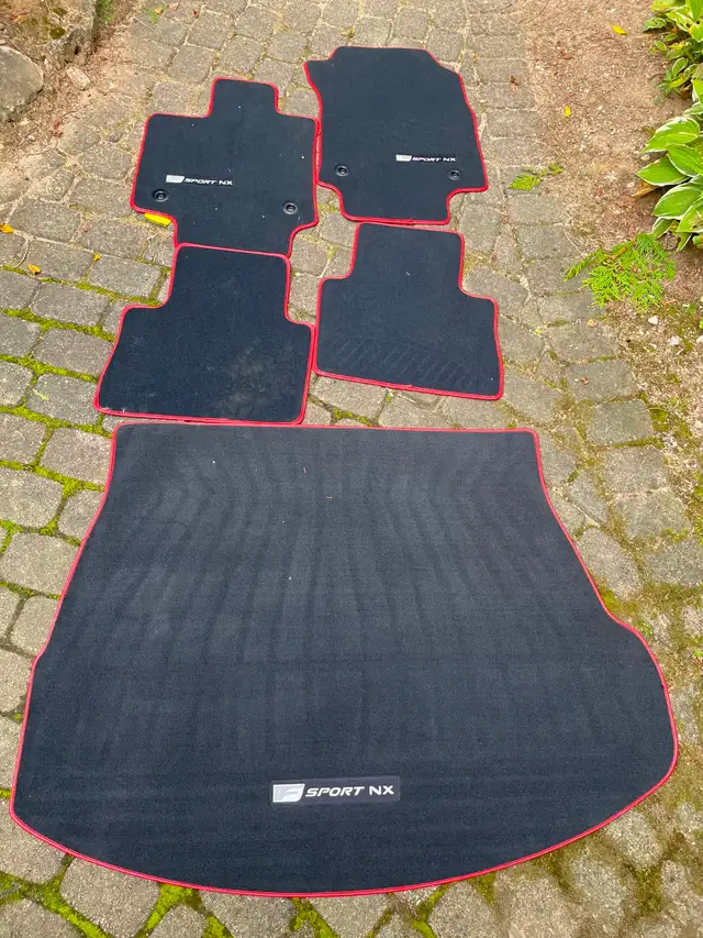 Genuine Lexus OEM carpet floor mats. F Sport NX