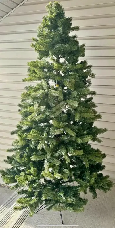 Christmas Tree, View more