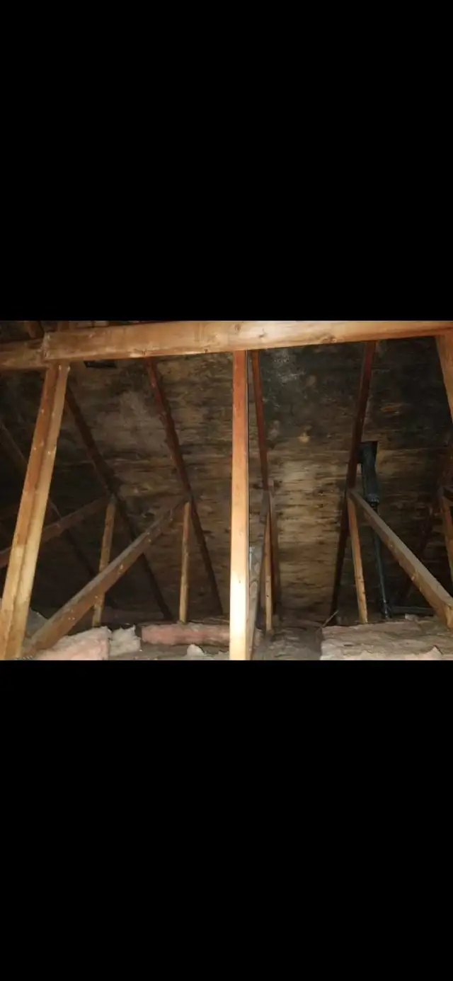 Mould and Asbestos Removal62864359427971129