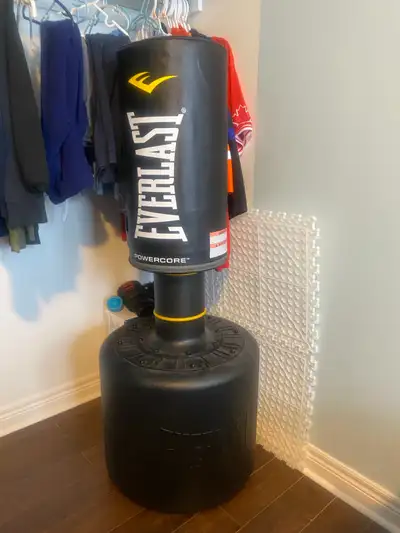 punching bag and gloves, View more