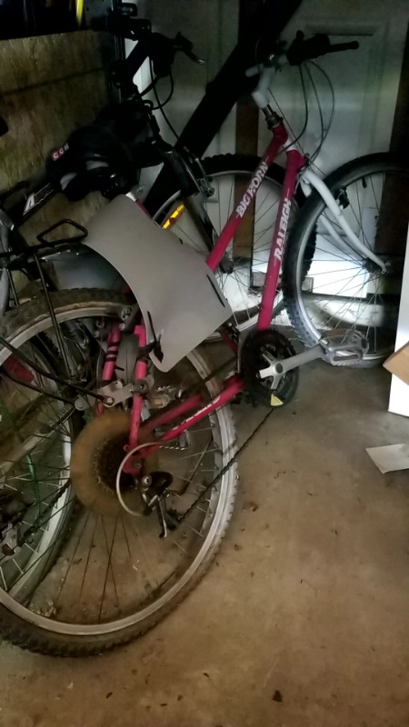 Raleigh bighorn bike cheap