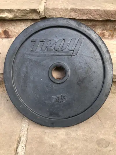 20+ Troy 45lb Rubber Encased Olympic Weight Plates - $40 each, View more