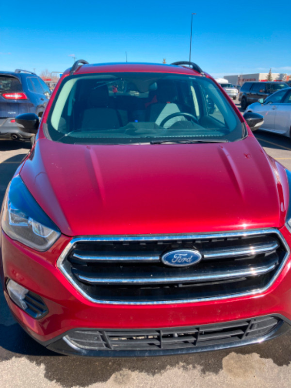 2019 Ford Escape Titanium in Cars & Trucks in Edmonton - Image 2