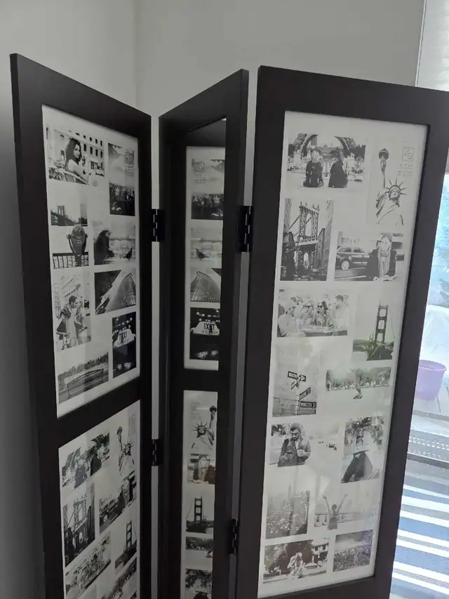 Room Divider never used in Hutches & Display Cabinets in Winnipeg - Image 2