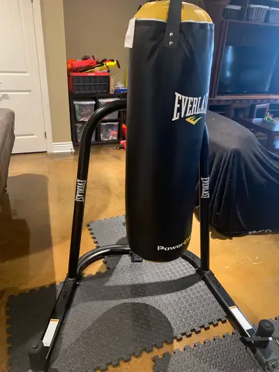 Everlast heavy bag/speed bag stand with bags, View more