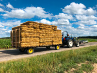 2023 Straw in Small Square Bales! FREE DELIVERY!!!