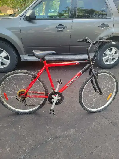 tetsuro様TRIUMPH BINDAYGI CYCLE ビンデージサイクル triumph mountain bike in Bikes in Ontario | Kijiji Marketplaces