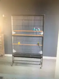 Large cages for sale