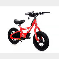 BNIB Kids 24V Electric Bike 100W