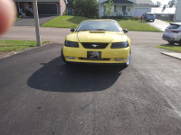 2001 Ford Mustang for Sale