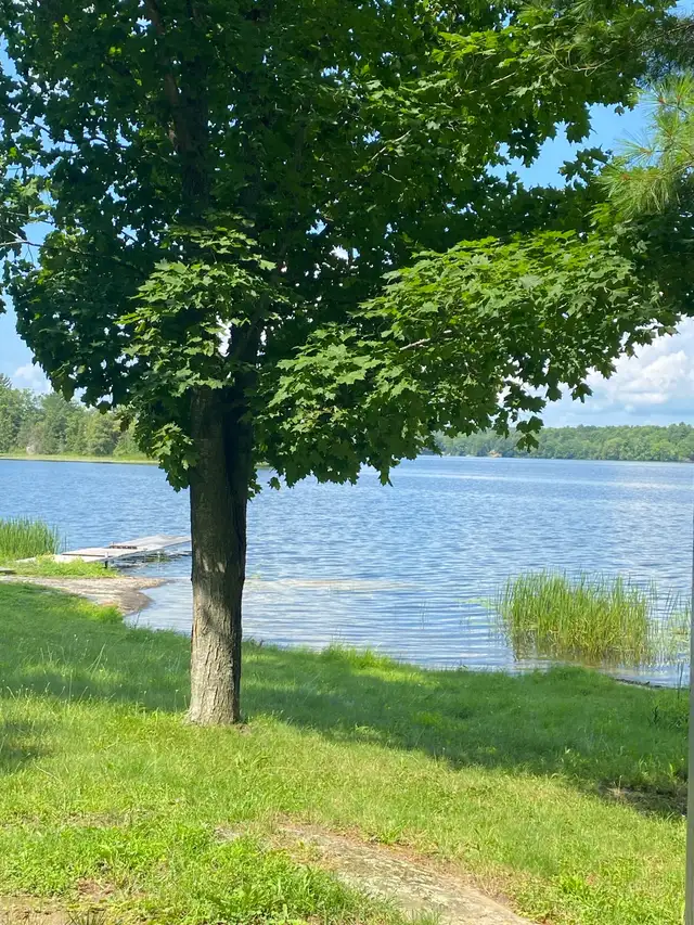 Cottage rental with the best fishing and sunsets. in Ontario in Canada - Image 10