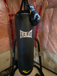 Punching Bag With Stand and Gloves
