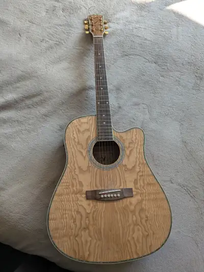 Raven Electro-Acoustic Guitar, View more