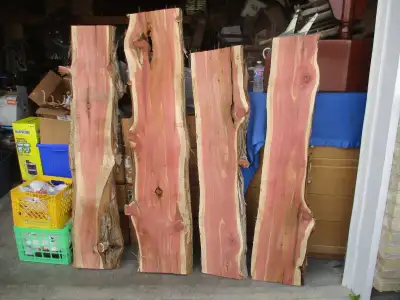 2 LIVE EDGE CEDAR SLABS $120. EA. HOME COTTAGE CABIN DECOR, View more
