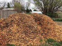 Wanted - mulch / wood chips