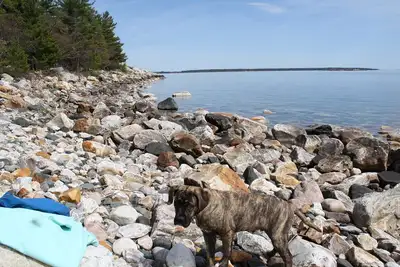 3.4 acres, 337 ft frontage. Water access only. 10 min from town. Taxes $1000 a year. Zoned waterfron...