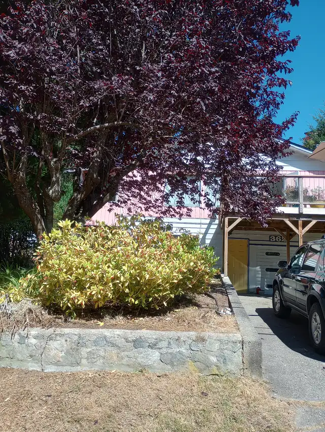 Studio Housekeeping Suite in Lower Gibsons